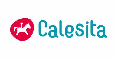 Calesita Indústria De Brinquedos Ltda 